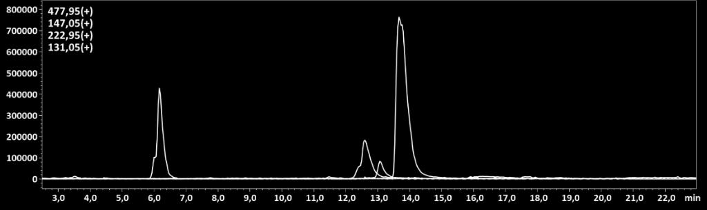 Míg a Leccinum duriusculum két meghatározó anyagot tartalmaz, addig az Agrocybe cylindracea kivonatában nyolc antioxidáns vegyületet mutattam ki. Az n.a. jelölés azt mutatja, hogy a jellemző tömegspektrometriás jelet nem tudtam azonosítani az adott vegyület kis mennyisége vagy gyenge ionizálódása miatt.