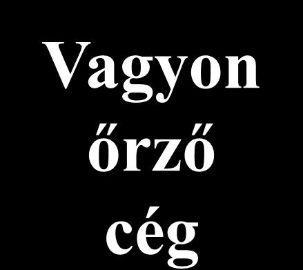 Vagyon őrző cég