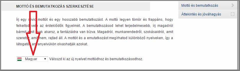 A munka egy nagy színészkedés, azt írsz ide, amit csak akarsz, amivel költekezésre tudod bírni a vendégeket.