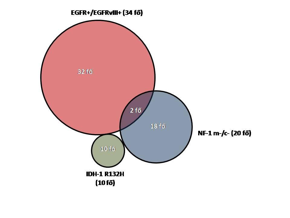 16. Ábra- A glioblastoma molekuláris alcsoportok elkülönülése IHC markerek alapján A 16-os ábrán látható színes körök jelenítik meg az 1. kohort kirajzolódó alcsoportjait.