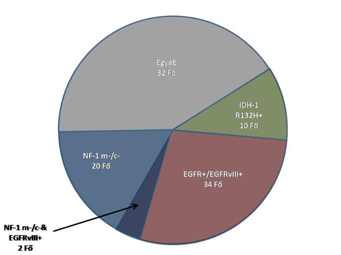 A legnagyobb csoport az EGFRvIII mutáns csoport, a legkisebb pedig az IDH-1 R132H csoport volt. Az NF-1 teljes negativitást 20 főnél detektáltuk. 17.
