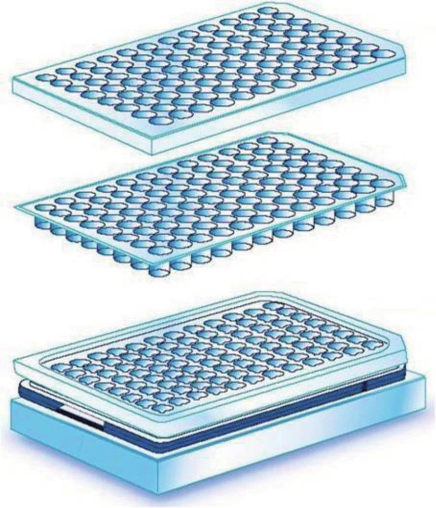 128 Acta Pharmaceutica Hungarica 2012/4. sítottak: ceramidokat, koleszterint és származékait valamint szabad zsírsavakat [3-5].