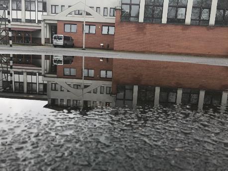 Egyéni sikerek Laskai Vanda 9. Ny/d Fallabda Európa Bajnokság 5.