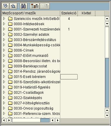 2. Szelekciós, kiviteli rész Ezen a képernyőrészen lehet meghatározni, hogy melyik infótípusról, milyen adatokra kell valamilyen feltételt megadni, valamint mely adatokat kell kiiratni.