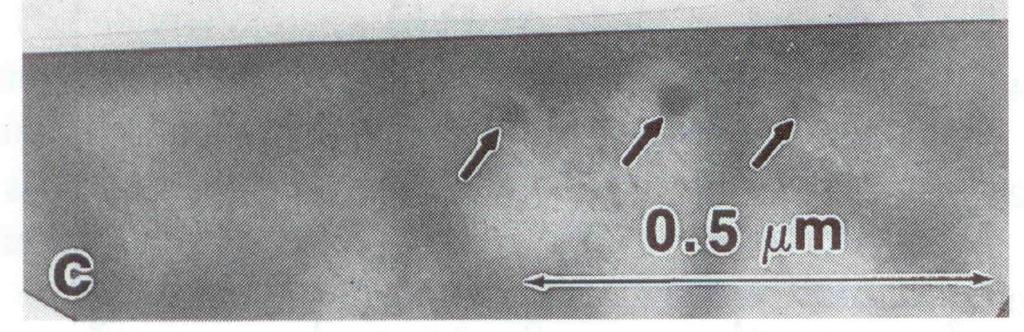 hıkezelve, c), implantálva: 1 1 14 Co