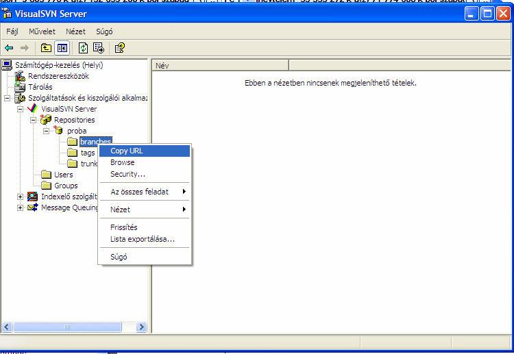 VisulSVN (repository címének