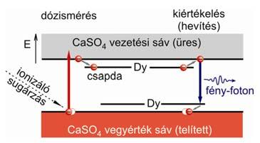 kiértékelés (pl. 1 hónap).