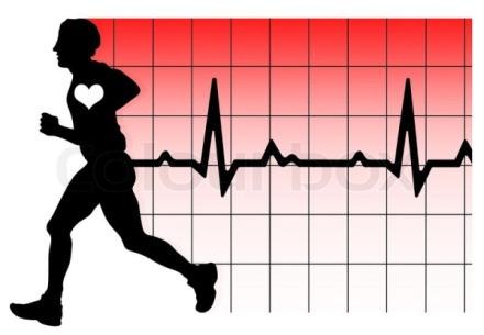 EKG szűrések a sportorvosi gyakorlatban Az EKG vizsgálat kiemelkedő szerepet játszik a sportolók szűrésében.
