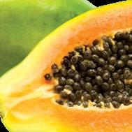 PAPAYA (Tropical Touch): Jojobaolajat, kakaóvajat és vitaminokat tartalmazó, papaya illatú bőrápoló krém csalán-, rozmaring- és papayakivonattal.