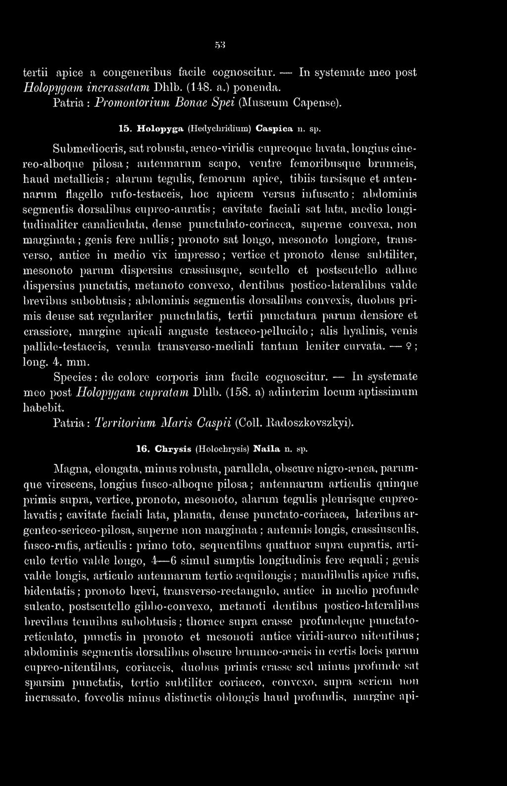 53 tertii apice a congeneribus facile cognoscitur. In systemate meo post Holopygam incrassafnm Dhlb. (148. a.) ponenda. Patria : Promontorhim Bonae Spei (Mnsiçum Capense). 15.