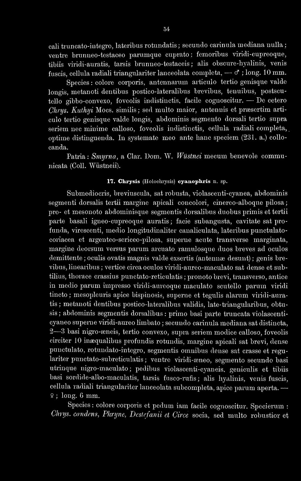 54 cali truncato-integro, lateribus rotundatis ; secundo carinula mediana nulla ; ventre brunneo-testaceo parumque cuprato ; femoribus viridi-cupreoque, tibiis viridi-auratis, tarsis