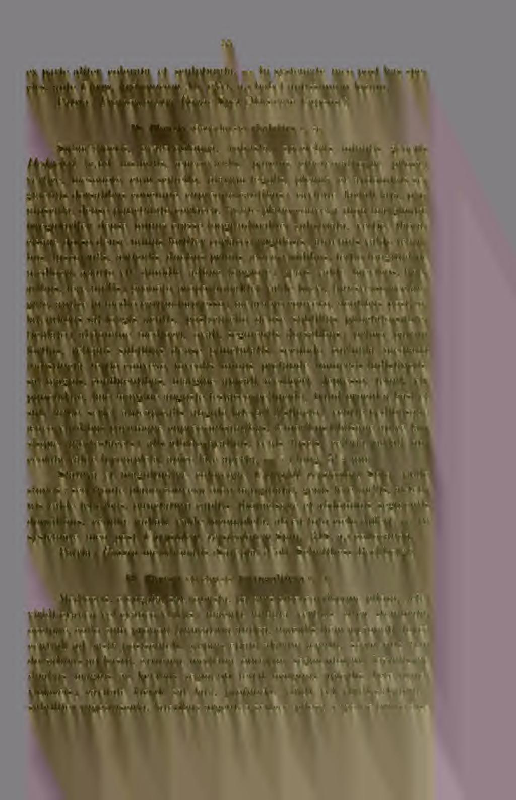 ex parte aliter colorata et sciilpturata. In systemate meo post lias species, ante Chrifs. liydropicam AL. (iîo4. a.) habet aptissimum locum. Patria : Provwntoríuni Bonae Spei (Musíeum Capense). 18.