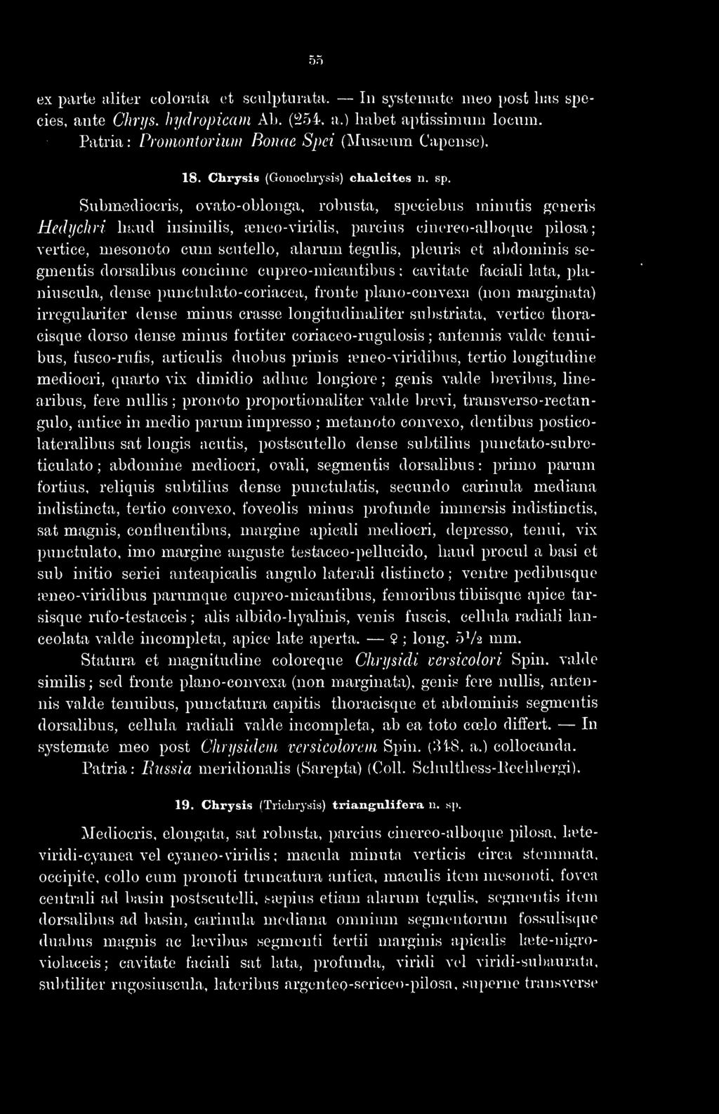 Submediocris, ovato-oblonga, robusta, speciebus minutis generis Hedi/chri huiid insimilis, teneo-viridis, parcius cinereo-alboque pilosa; vertice, mesonoto cum scutello, alarum tegulis, pleuris et