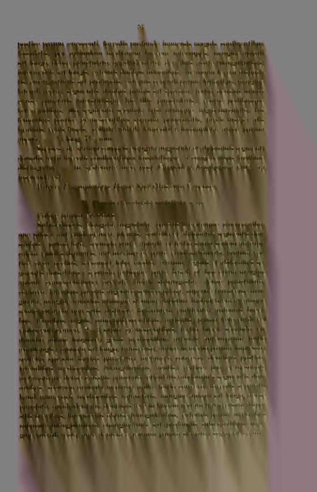 postice pariim íbiiescenti, foveolis profunde immersis magnis confluentibus fossulatis, per cariiiulam medianam brevem interruptis, margine apicali sat longo, dense piinctulato, quadridentato,