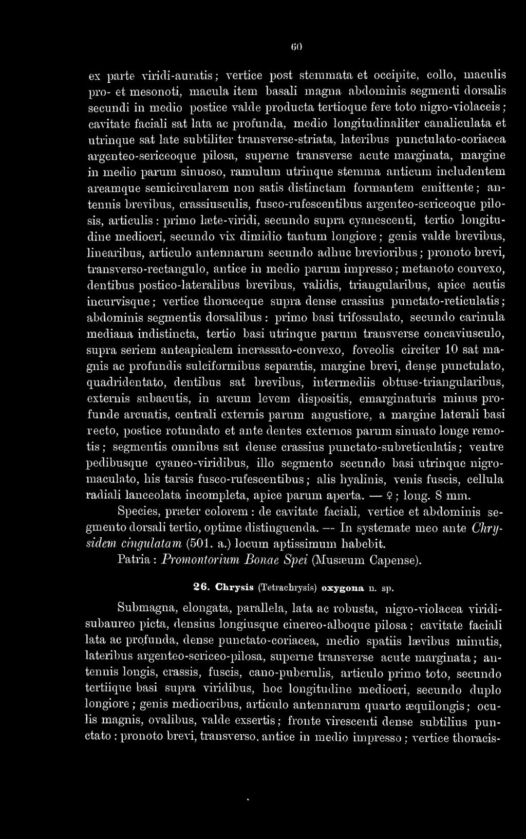 60 ex parte viridi-auratis ; vertice post stemmata et occipite, collo, maculis pro- et mesonoti, macula item basali magna abdominis segmenti dorsalis secundi in medio postice valde producta tertioque