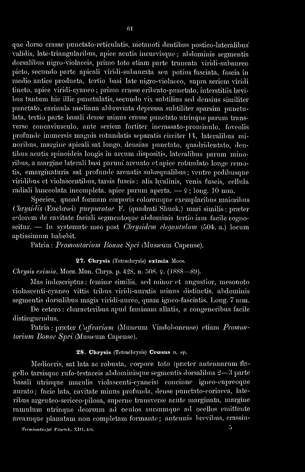 tincto, apice viridi-cyaneo ; primo crasse cribrato-punctato, interstitiis laevibus tantum bic illic punctulatis, secundo vix subtilius sed densius simihter punctato, carinubi mediana abbreviata