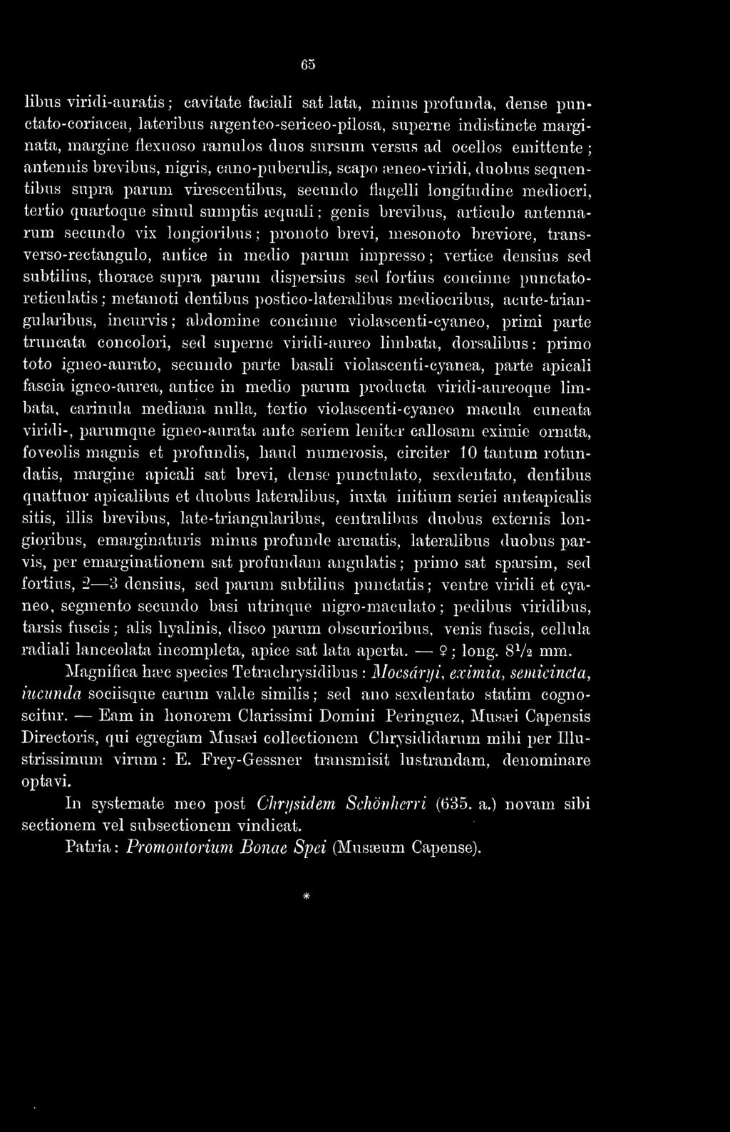 sumptis tequali ; genis brevibus, articulo antennarum secundo vix longioribus ; pronoto brevi, mesonoto breviore, transverso-rectangulo, antice in medio parum impresso ; vertice densius sed