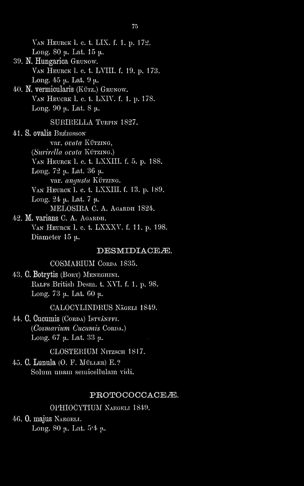 75 Van Heukck 1. c. t. LIX. f. 1. p. 17i>. Long. 80 {X. Lat. 15 {x. 39. N. Hungarica Grunow. Van Heurck 1. c. t. LVIIL f. 19. p. 173. Long. 45 [x. Lat. 9 \l. 40. N. vermicularis (Kütz.) Grunow.
