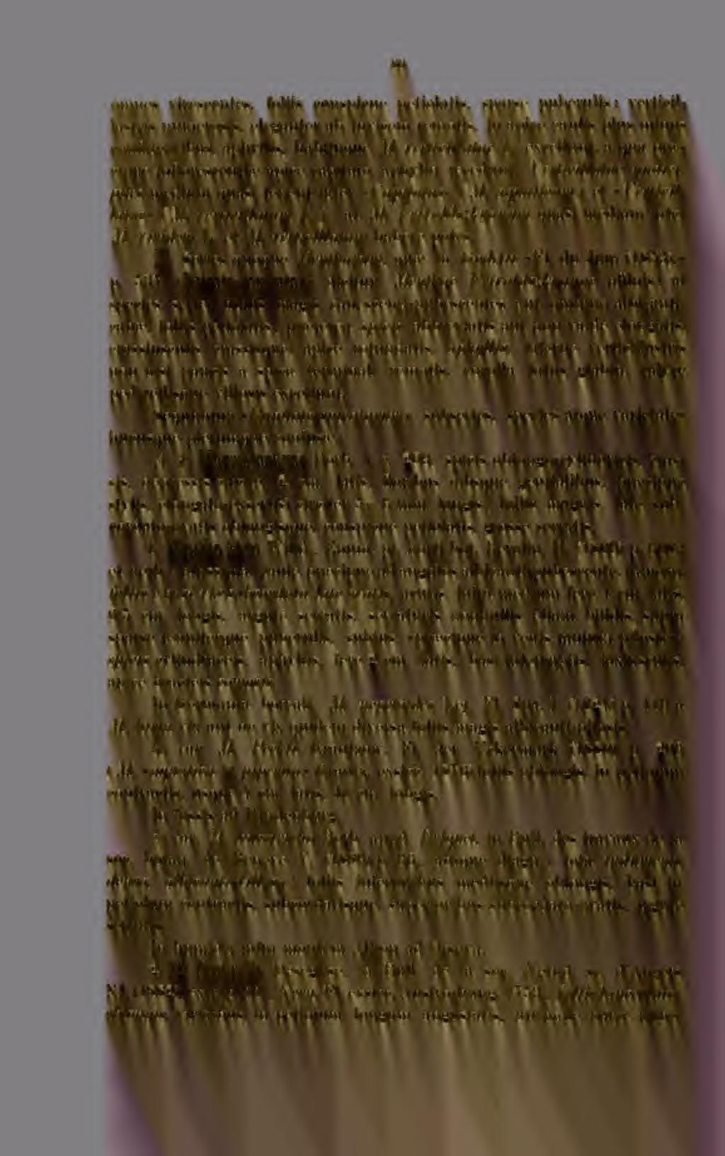 80 omnes virescentes, foliis conspicue petiolatis, sparse puberiilis ; verticillastris numerosis, eleganter ab invicem remotis, confluentibus, apliyllis, in apice caulis plus minus habituque M.
