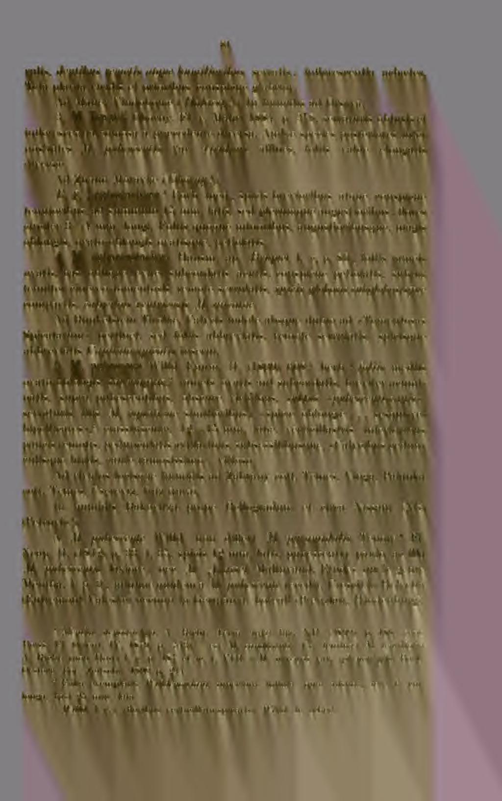 81 rulis, dentibus remotis atqiie humilioribus serratis ; inflorescentia achastes. Tota planta viridis et prioribiis conspicue glabrior. Ad Mauer Vindoboníe ( Halácsy!). In hiimidis ad Orsova. 3. M. Braunii OLorny, Fl.