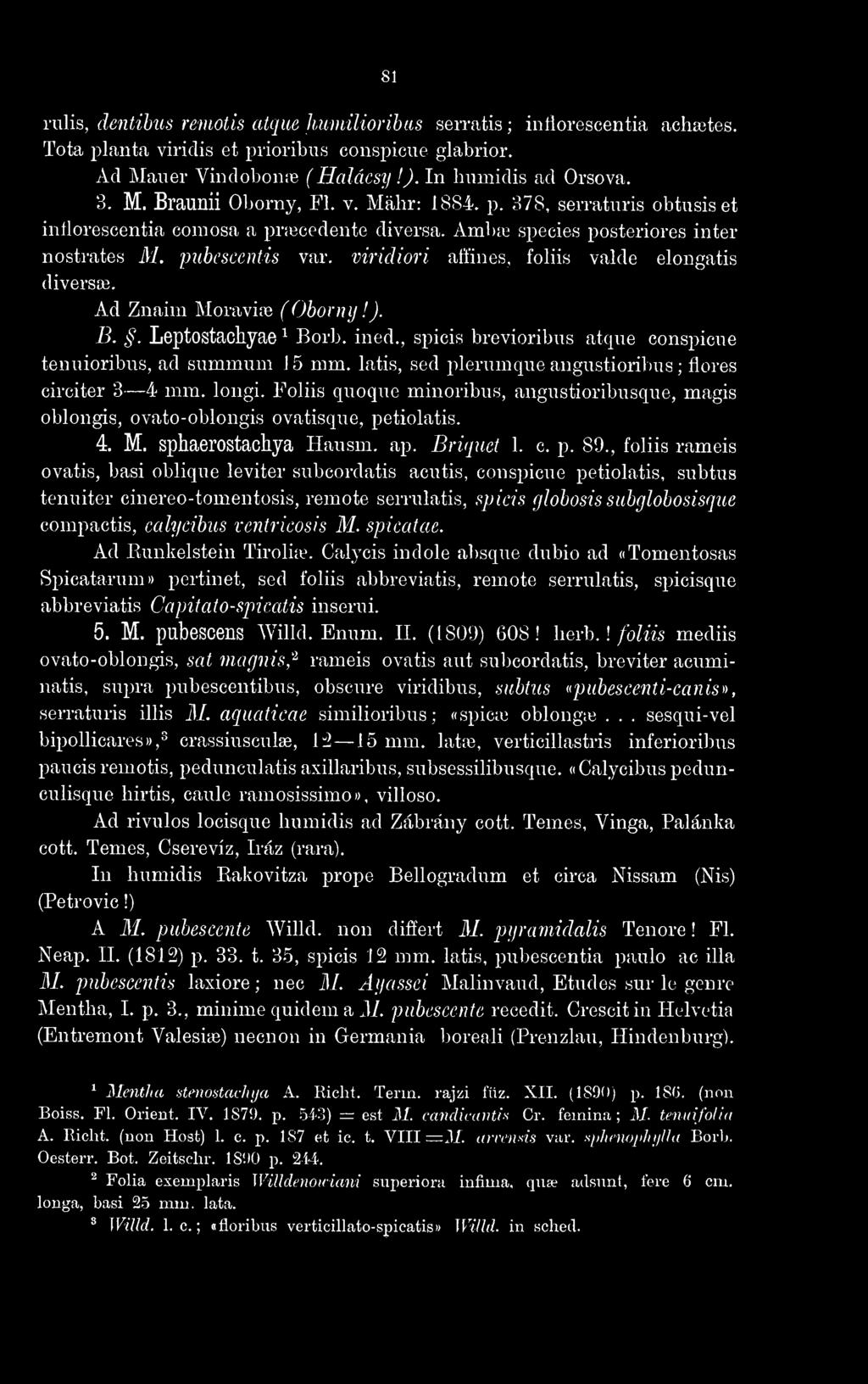 viridiori affines, foliis valde elongatis diverses. Ad Znaim Moraviie (Ohorny!). B. '. Leptostachyae ^ Borb. ined., spicis brevioribus atque conspicue tenuioribus, ad summum 1 5 mm.