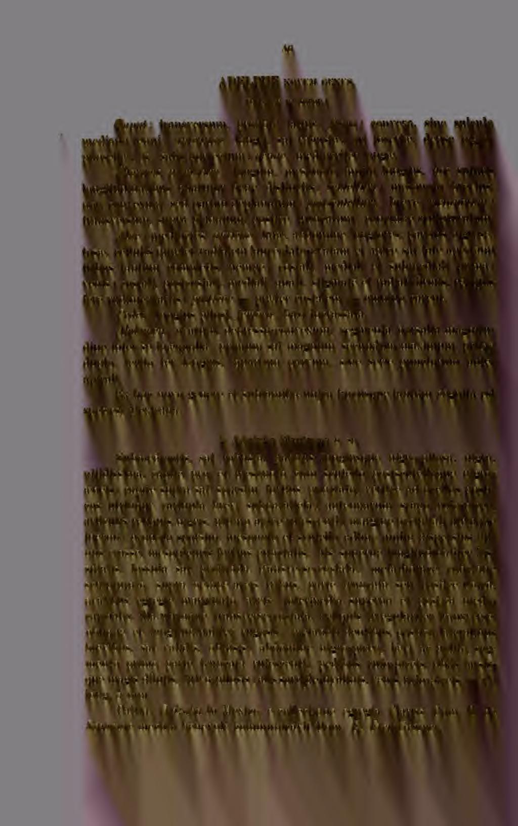 46 ADELPHE NOVUM genus. {à6 ).(prj soror.) Caput: transversum, pronoto latius ; /ro?