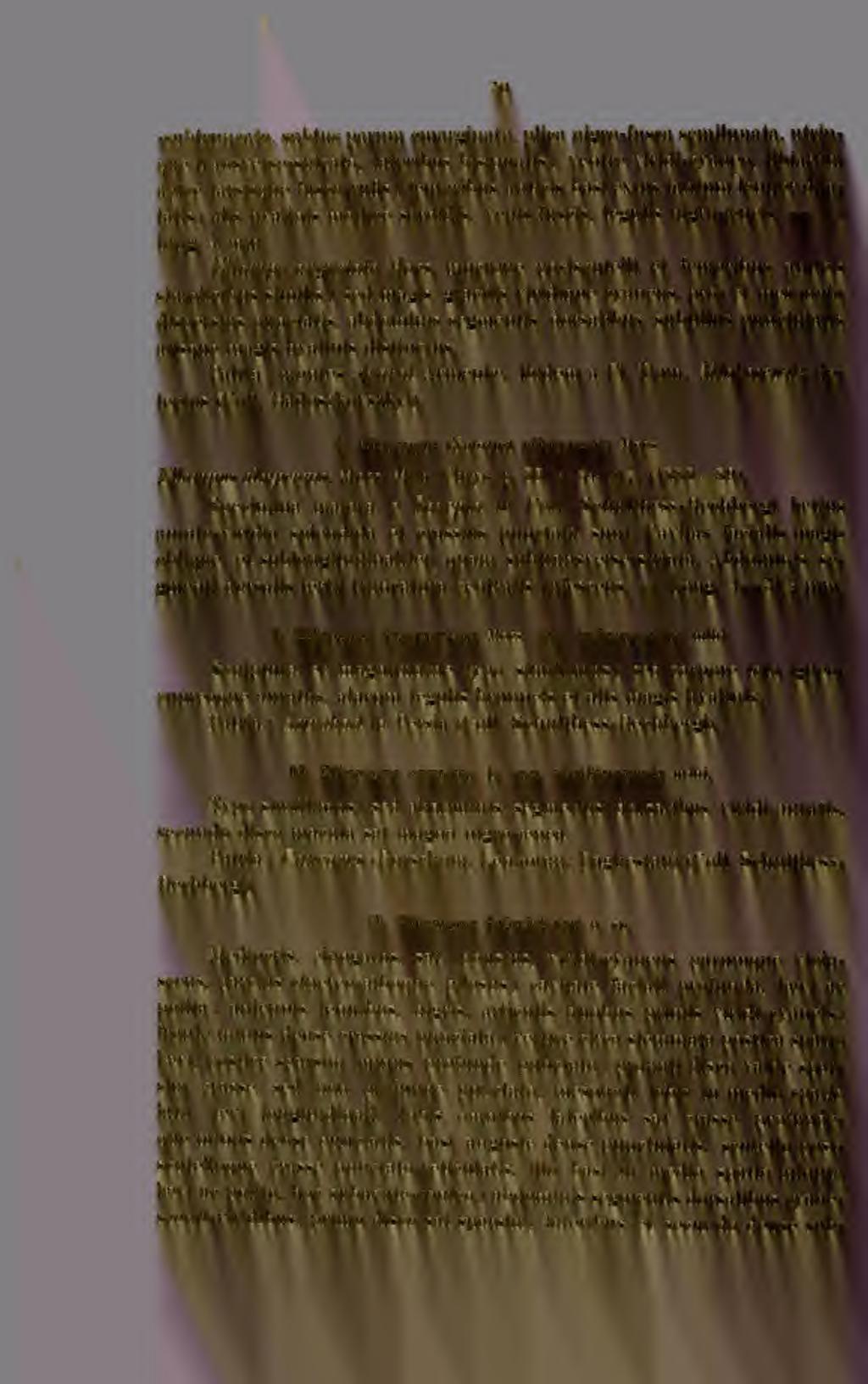 50 -subtruncato, subtus parum emarginato, plica nigro-fusca semilunata, utrinque transverse-sulcato, lateribus bisinuatis ; ventre viridi-cyaneo, tibiariim apice tarsisque fusco-rufis ; femoribus