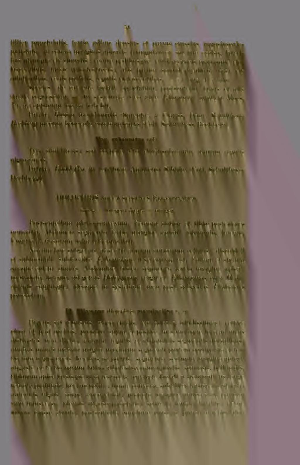 51 tiliter punctiilatis, tertio adhuc densius et parum crassius rugosiusculepunctato, in centro marginis apicalis triangulariter sat late exciso, lateribus utrinque vix siiniatis; ventre pedibiisque