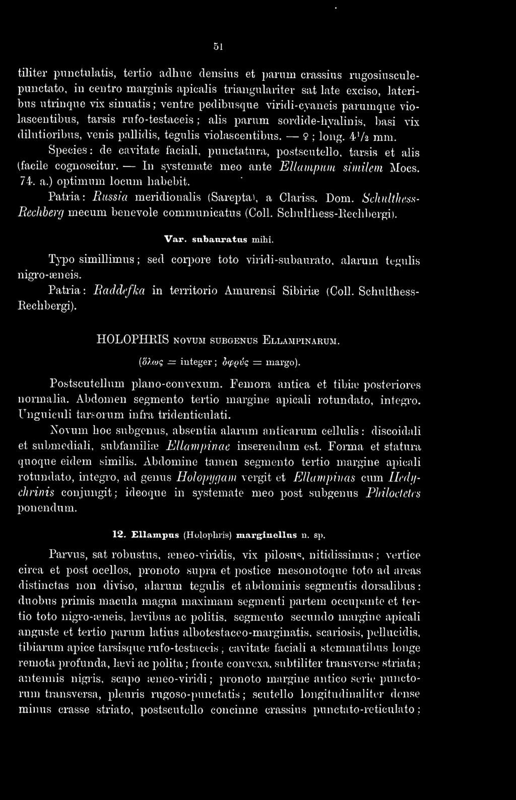Species: de cavitate faciali, punctatura, postscntello, tarsis et alis (facile cognoscitur. In systemate meo ante EUampum similem Mocs. 74. a.) optimum locum habebit.