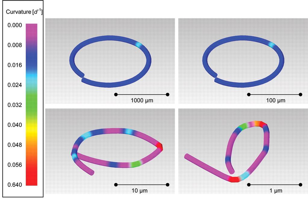 Fig. 4. Shapes of rods (aspect ratio 1:50) after simulated bending; rod thickness t from top left to bottom right: t = 100 µm, t = 10 µm, t = 1 µm, t = 0.