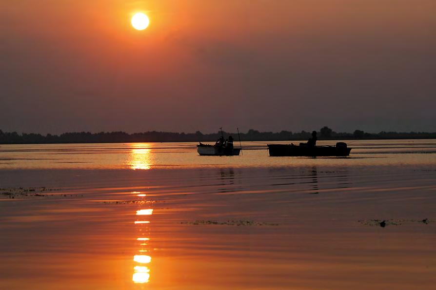 Tisza-tó Hol a nap kel és a madarak csendben énekelnek, Kis csónak szeli át a szőke Tisza vizét. Apró élőlények vigyázzák a tavat, Alakítják, formálják szép otthonukat.
