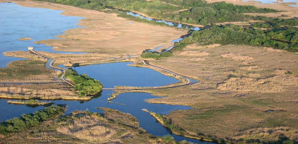 relevanciával bíró tevékenységet folytatott, eközben építve a Tisza-tavi Mi-tudatot a lehető legtöbb, turizmusban érdekelt partner megszólításával.