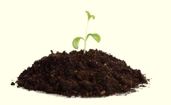 2. A talaj kémhatása A talajok nagy része a humuszsavak és az élettevékenység (CO2) hatására savas kémhatású.