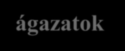 Az adóelkerülő ágazatok folyamatos felszámolása érdekében tett intézkedések Zöldség-, gyümölcs nagykereskedelmi szektort érintő