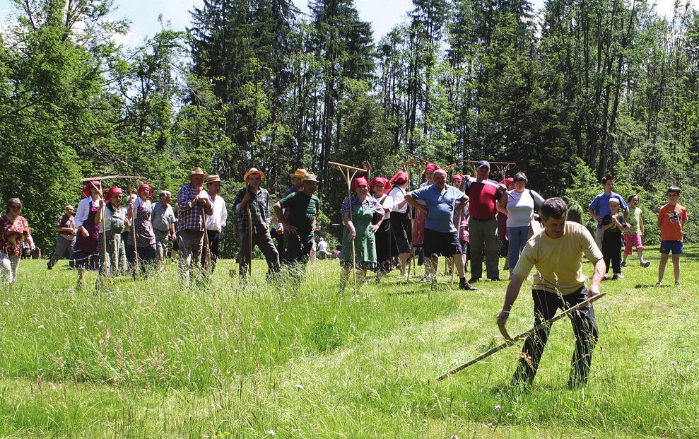 36 TURIZEM foto: arhiv Zavod grad Snežnik Lili Kandare V deželi ostrnic 2014 - Igre med ostrnicami Z agradne njive pri gradu Snežnik v Loški dolini so bile v nedeljo, 8.