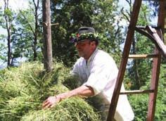 Snežnik. Igre so potekale v sklopu tradicionalne etnološko-turistične prireditve V deželi ostrnic. Pomemben dogodek prireditve je predstavljalo Državno prvenstvo v ročni košnji trave.