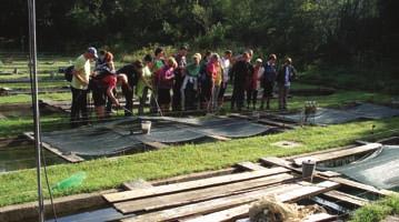 43 DRUŠTVA Andreja Ravšelj Prehodimo del Loške doline in spoznajmo njene lepote Želja spoznati čim več zanimivih, skritih kotičkov Loške doline je Društvo žena in deklet na podeželju Ostrnice Loška