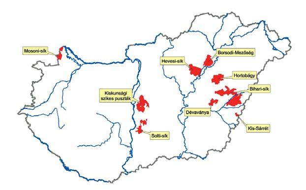 század elején a Kárpát-medencében még összefüggõ túzokpopuláció élt, hazai állománya az elmúlt évtizedekben jelentõsen megfogyatkozott, s a '90-es évek elejére ezer példány alá csökkent.