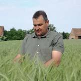 és REALLI CS kukoricák melle. Csiszár István, Pinkamen Agrár K. ügyvezető Vasalja, Vas megye 2017.