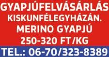 eddig nem voltak megfelelő technikai lehetőségek. Az új busz dr. Salacz László és dr.