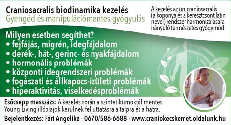 A különböző krónikus betegség talaján kialakuló sebek kezelése összetett feladat, így a rendelőnkben érsebész, sebész, traumatológus és bőrgyógyász szakorvosok is dolgoznak, ezzel a kecskeméti