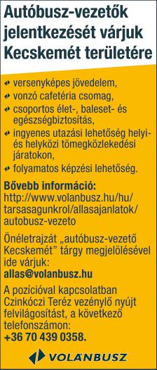 Az interneten elérhető önéletrajz-sablonokat a HR-esek is ismerik, ezért jó, ha a sablon kitöltésén túl időt szakítunk az önéletrajzunk hiszen mint a neve is jelzi a saját