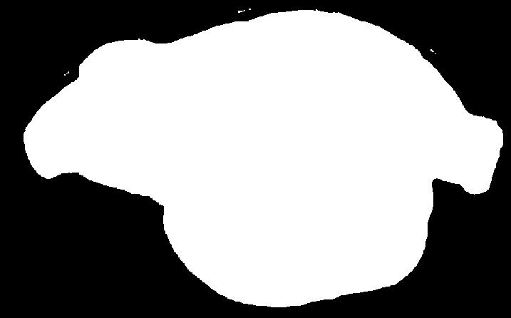 érlelésű