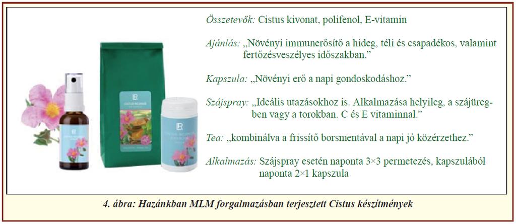 Német termék Cistus incanus L.