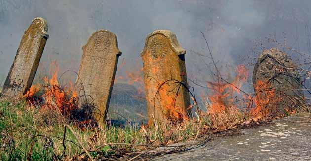 Ede (RO): Elek pásztor XVIII.
