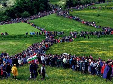 László (hu): Tricolor