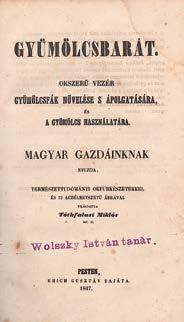 Claude du Bosc francia metsző és kiadó 1714 és 1717 között adott ki egy metszetsorozatot Savoyai Jenő haditetteiről. A kép feltehetően közvetlenül a vár 1716-os visszafoglalása után készülhetett.