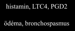 histamin, LTC4, PGD2 ödéma,