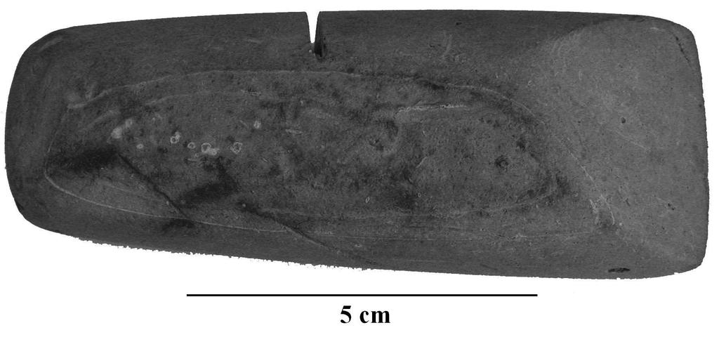 Két csiszolt kőbalta archeometriai vizsgálata NAGY ISTVÁN, biológia-geológia szakos hallgató Babeş-Bolyai Tudományegyetem, Kolozsvár VARGA GÁBOR, geológus szakos hallgató Eötvös Loránd