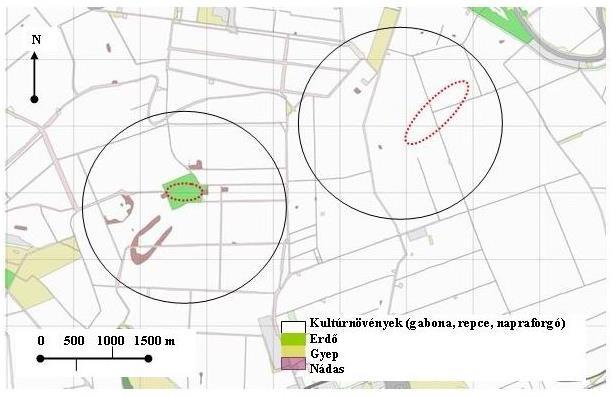 Őz válogató táplálkozása mezei élőhelyen, télen Mátrai, K. 2000: Az őz téli tápláléka: élőhelytől függő azonosságok és különbségek. Vadbiológia, 7. évf. 47-53. old.